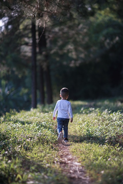 Balancing Screen Time and Outdoor Activities for Children